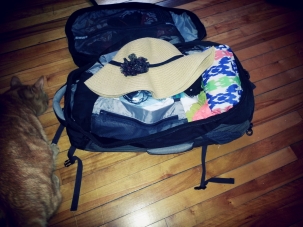 Day 127 - All Packed for...